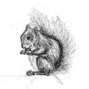 Red Squirrel Giclée Print